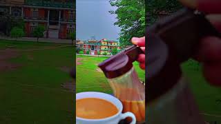 Pakistani Hindi Gana  Song For Chai Lover  Song On Chai  Tea Status For Whatsapp  Urdu Gana Urdu [upl. by Ennaitsirhc]