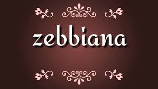 ZEBBIANA Lyrics video skusta clee [upl. by Nyliak]