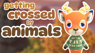 🔴NEW ISLAND Animal Crossing New Horizons ACNH LIVE [upl. by Powe]