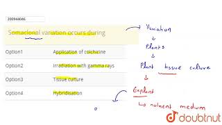 Somaclonal variation occurs during  CLASS 12  NEET MOCK TEST 12  BIOLOGY  Doubtnut [upl. by Sankey]