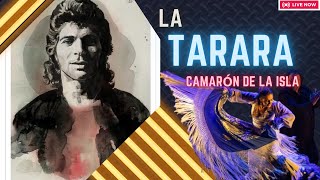 Camarón de la Isla  La Tarara Bass Flamenco [upl. by Assadah]