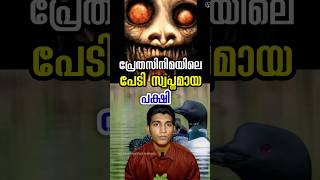 ലൂണിൻ്റെ ശബ്ദം കേട്ടാൽ ആരായാലു പേടിപ്പിക്കും loon bird sound malayalam [upl. by Basir43]