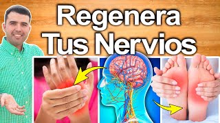 REGENERA TUS NERVIOS  Tienes Daño Nervioso y No Lo Sabes  Como Revertir Neuropatia [upl. by Wise131]