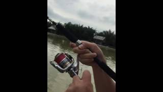 Shimano Biomaster SW 4000HG [upl. by Eilahs]