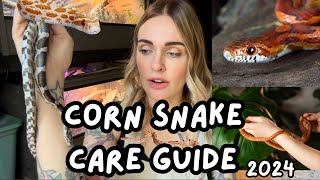 Corn Snake Care Guide Corn Snakes For Beginners Basic Care and Intro [upl. by Netsua]