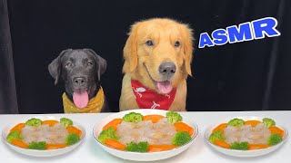 Two Golden and Labrador dogs are happily enjoying delicious delicious food [upl. by Thaddus]