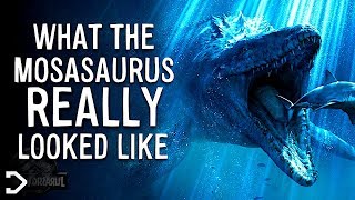 What Did The Mosasaurus REALLY Look Like [upl. by Skyla]