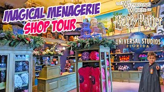 Magical Menagerie Shop in Diagon Alley Wizarding World at Universal Studios 4K [upl. by Feldstein]