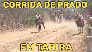 Corrida de prado em TabiraPE 290924 [upl. by Eniamahs]