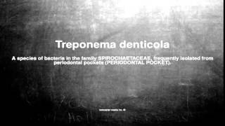 Medical vocabulary What does Treponema denticola mean [upl. by Nail]