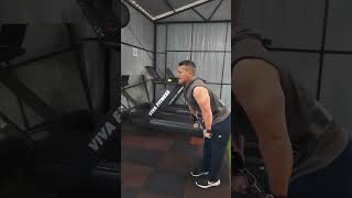 Straight arm cable pulldown [upl. by Hudson]