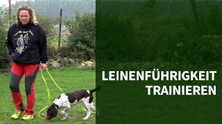 Leinenführigkeit trainieren ► 3 Tipps wie Du Leinenführigkeit trainieren kannst [upl. by Letsou]