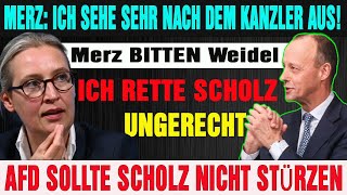 🚨 Friedrich Merz bittet AfD um Gnade Weidel antwortet entschieden Ich rette Scholz [upl. by Hazlett]