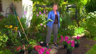 Planting Fall Annuals and Bulbs [upl. by Terb]