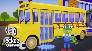 Sammy The School Buss Carwash Washout  Gecko 2D  Learning Videos for Kids [upl. by Uliram920]