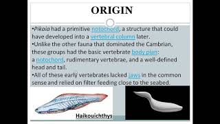 Ostracoderms  origin amp features [upl. by Andrade]