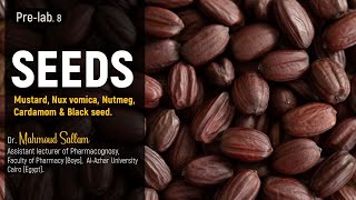 Pharmacognosy 1 Seeds Black mustard White mustard Nuxvomica Nutmeg Cardamom and Black seed [upl. by Aenet]