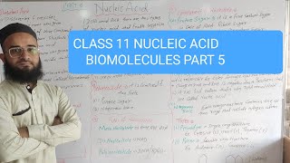 CLASS 11  NUCLEIC ACID  BIOMOLECULES  PART 5 [upl. by Colt60]