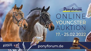 HERZALLERLIEBST JK Hengst 2019 v Herzkönig NRW  Casino Royale K WE [upl. by Deth909]