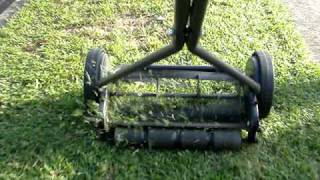 Flymo H40 cutting grass [upl. by Rolyt]