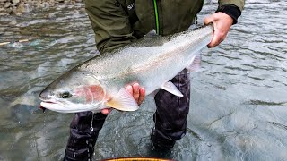 Fly Fishing for Steelhead in BC  Skeena River Lodge [upl. by Annoel]