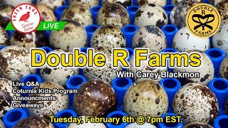 Coturnix Corner LIVE  Farm Introductions [upl. by Mic]