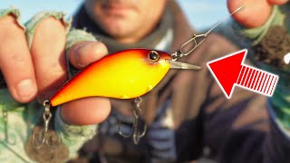 What I WISH Someone Would Have Told me about CRANKBAIT Fishing in WINTER [upl. by Adiuqal]