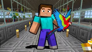 I FILLED A ZOO FULL Of PARROTS In Minecraft 😮 [upl. by Affra281]