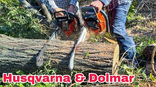 Husqvarna 372xp Vs Dolmar 111 Motorlu Testere Düellosu 😂 [upl. by Anelet201]