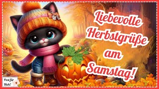 Herbstliche Grüße die deinen Montag versüßen 🐈️🍂 Post für dich und z Teilen f WhatsApp amp Co 📬 [upl. by Brady]