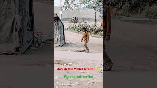 কত পাগল ঘুরে মাওলা রংগের দুনিয়ায়  koto pagol ghure moula ronger duniyai✨ please subscribe pagol [upl. by Regan38]