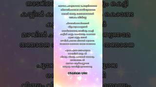 azhake chankulakkana song lyrics in malayalam love SujaSojanry4ee song [upl. by Bittencourt822]