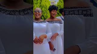 Msanii Music Group acapella of famous Mtuliza Bahari song [upl. by Ahseer651]