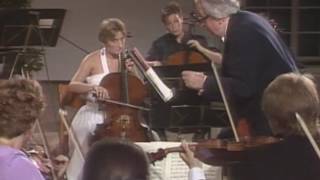 Mozart Divertimento DDur K334 Sandor Vegh Salzburg 1988 [upl. by Alimaj]