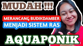 MERANCANG BUDIKDAMBER DENGAN SISTEM RAS  AQUAPONICS BIOFILTER SETUP [upl. by Nissa]