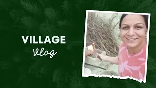 Nani Ke Gaon Ki Khubsurati  Village Vlog [upl. by Steddman]