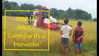 YANMAR AW70V Combine Rice Harvester [upl. by Llien499]