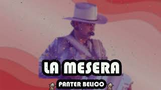 Panter Belico  La Mesera Corridos Belicos 2023 [upl. by Charil]