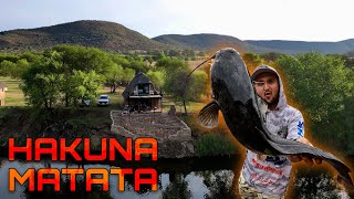 Vaal River BANK ANGLING  Hakuna Matata  Timon Chalet [upl. by Ahtnammas]