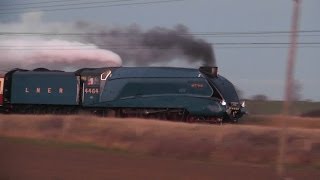 LNER A4 4464 Bittern Frinkley Lane 07122013 [upl. by Idnym655]