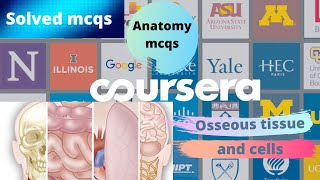 Coursera Anatomy specialization quiz answers  Osseous tissue and cells week1 mcqs Insider Zone [upl. by Berstine]