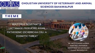 Multidrug Resistant Β Lactamase Producing Avian Pathogenic Escherichia Coli A Zoonotic Threat by Dr [upl. by Luba652]