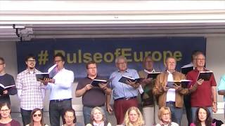 Konzertchor Winfridia mit Pulse of Europe Fulda Freude schöner Götterfunken [upl. by Kelly]