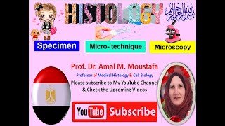 Histology Specimen Microtechnique amp types of Microscope Dr Amal Mohamed Moustafa [upl. by Annoled]