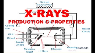 How an Xray Tube Works  Production of Xrays [upl. by Nivled372]