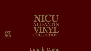 Nicu Alifantis  Luna in camp [upl. by Lanctot]