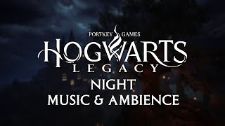 Hogwarts Legacy Night Ambience  Music [upl. by Nwahsauq]