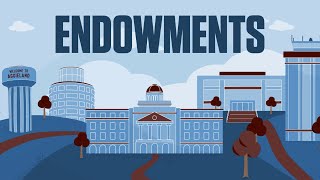 What is an Endowment [upl. by Tnaryb]