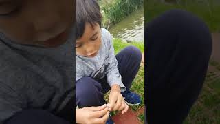 Fishing in Hornsea Yorkshire UK 🇬🇧 [upl. by Aliekat712]