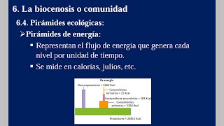 4º ESO Tema 7 Clase 6  La biocenosis o comunidad [upl. by Bowerman314]